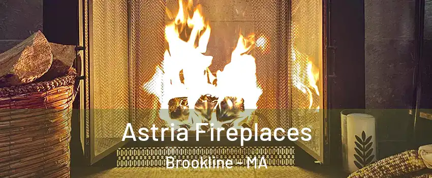  Astria Fireplaces Brookline - MA