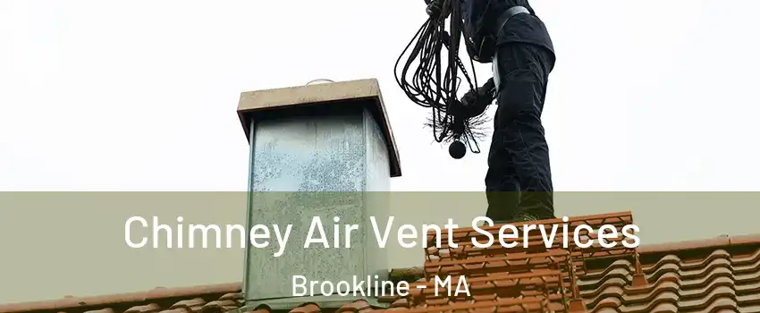  Chimney Air Vent Services Brookline - MA