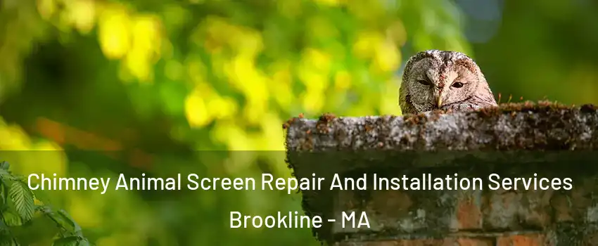 Chimney Animal Screen Repair And Installation Services Brookline - MA