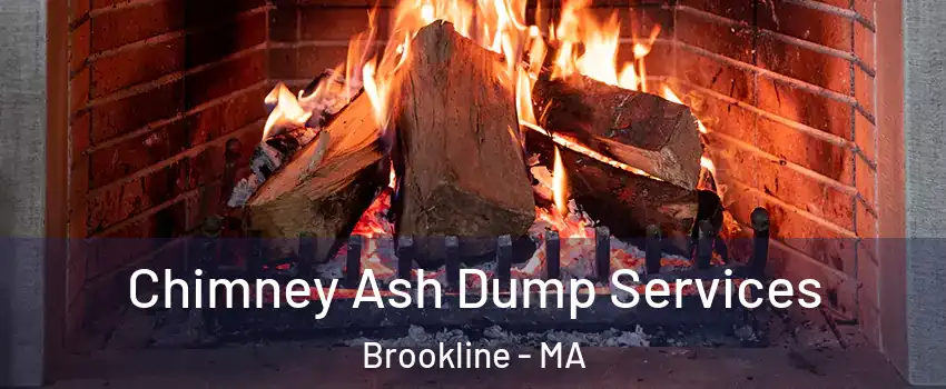 Chimney Ash Dump Services Brookline - MA