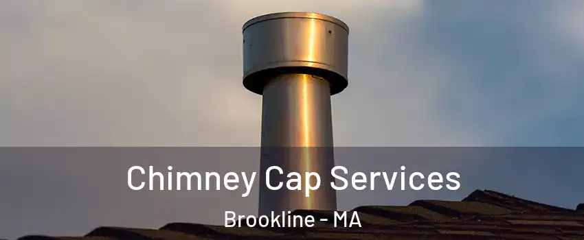  Chimney Cap Services Brookline - MA