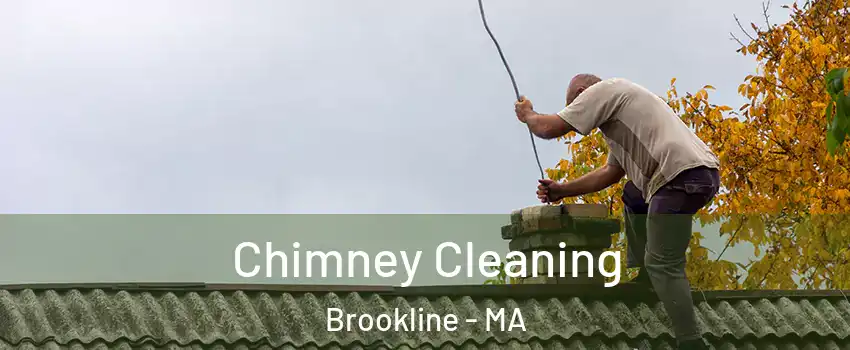  Chimney Cleaning Brookline - MA