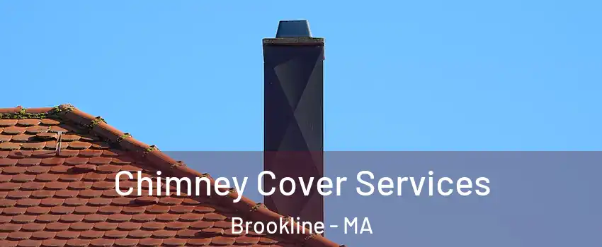  Chimney Cover Services Brookline - MA