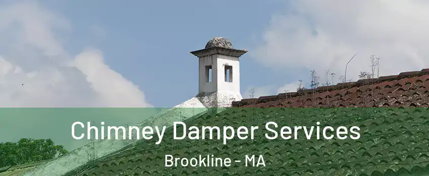  Chimney Damper Services Brookline - MA
