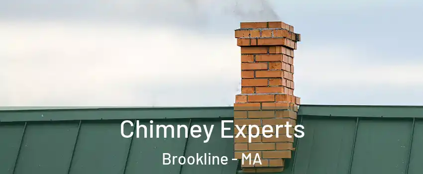 Chimney Experts Brookline - MA
