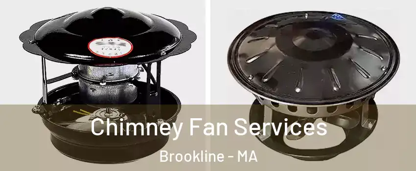  Chimney Fan Services Brookline - MA