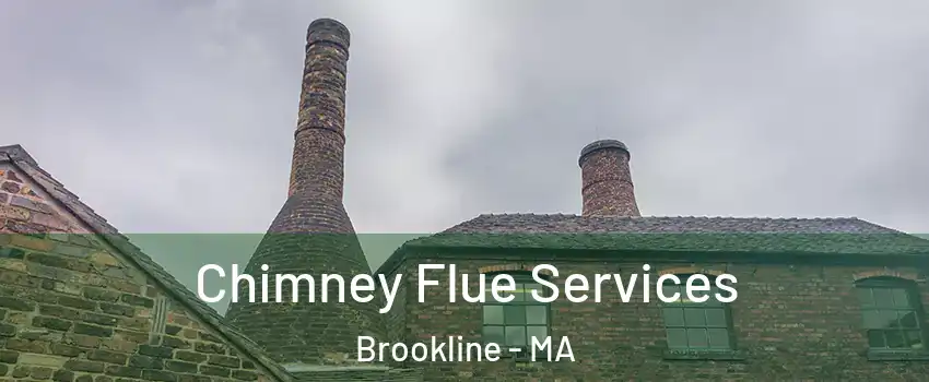  Chimney Flue Services Brookline - MA