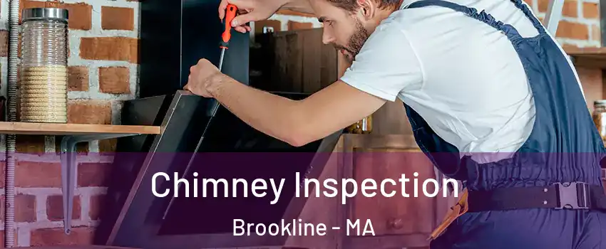  Chimney Inspection Brookline - MA