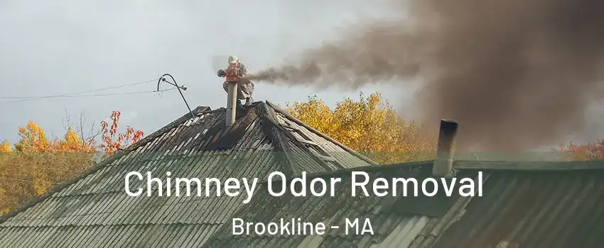  Chimney Odor Removal Brookline - MA