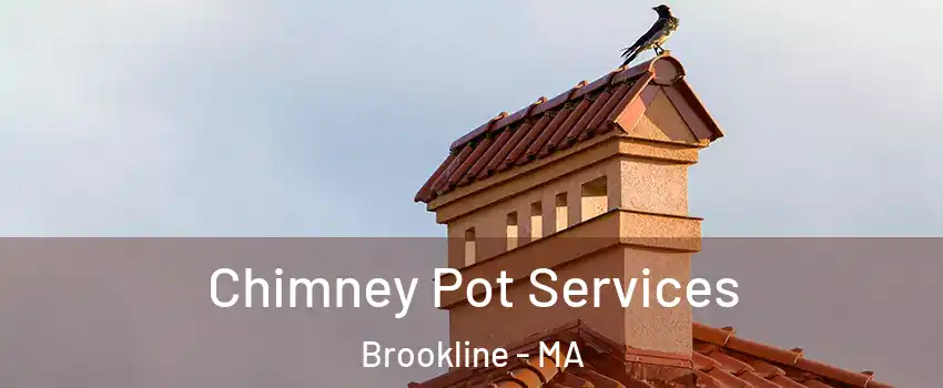  Chimney Pot Services Brookline - MA