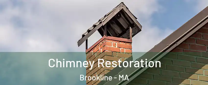  Chimney Restoration Brookline - MA