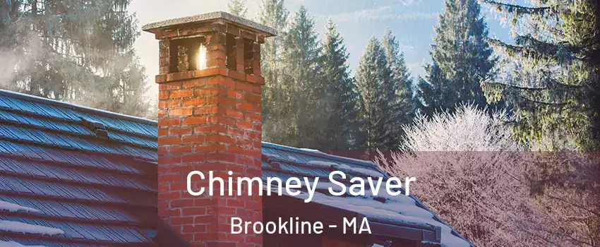  Chimney Saver Brookline - MA