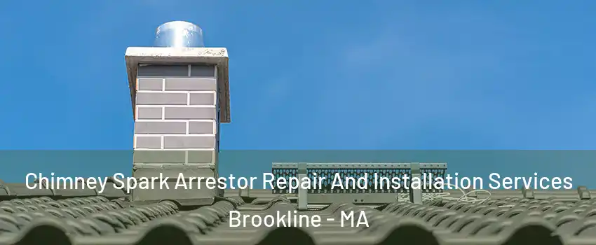  Chimney Spark Arrestor Repair And Installation Services Brookline - MA