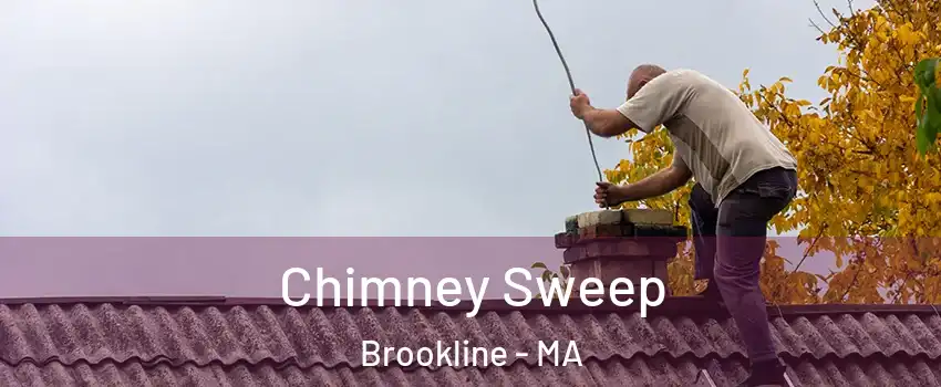  Chimney Sweep Brookline - MA