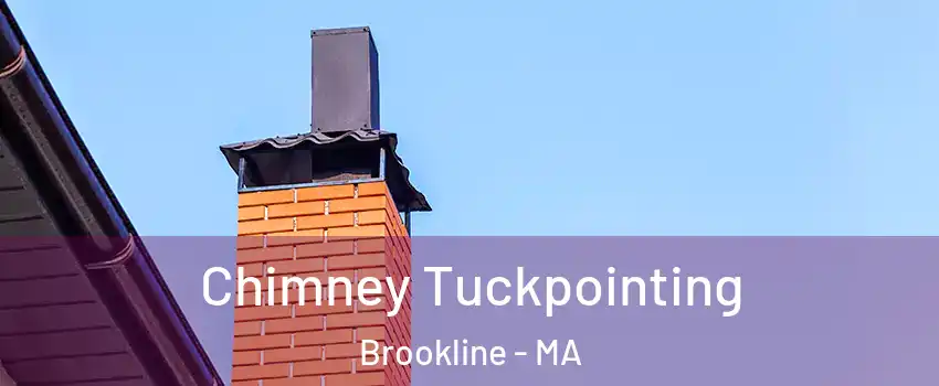  Chimney Tuckpointing Brookline - MA