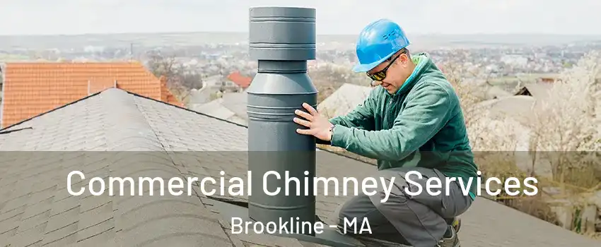  Commercial Chimney Services Brookline - MA