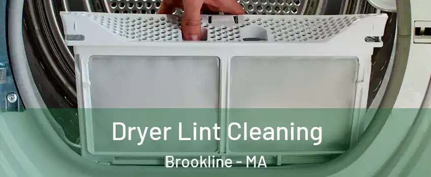  Dryer Lint Cleaning Brookline - MA