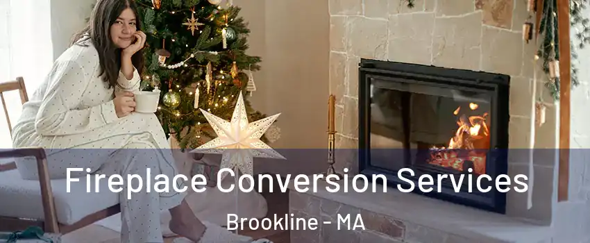  Fireplace Conversion Services Brookline - MA