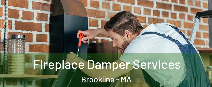  Fireplace Damper Services Brookline - MA