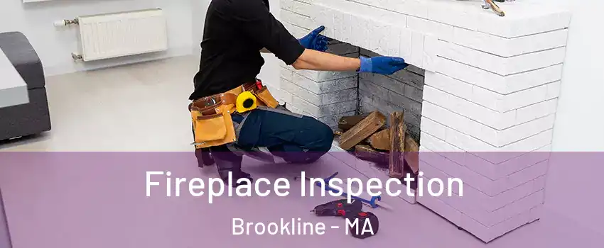  Fireplace Inspection Brookline - MA
