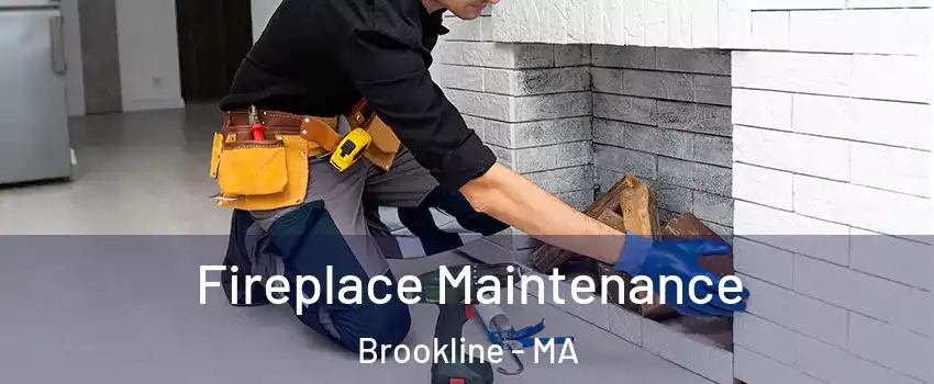  Fireplace Maintenance Brookline - MA