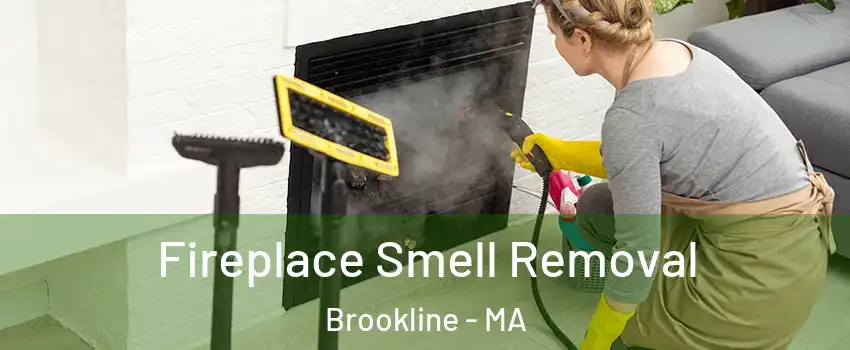  Fireplace Smell Removal Brookline - MA