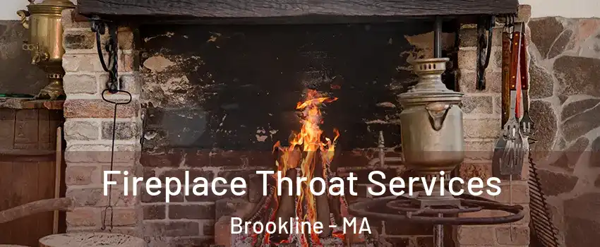  Fireplace Throat Services Brookline - MA