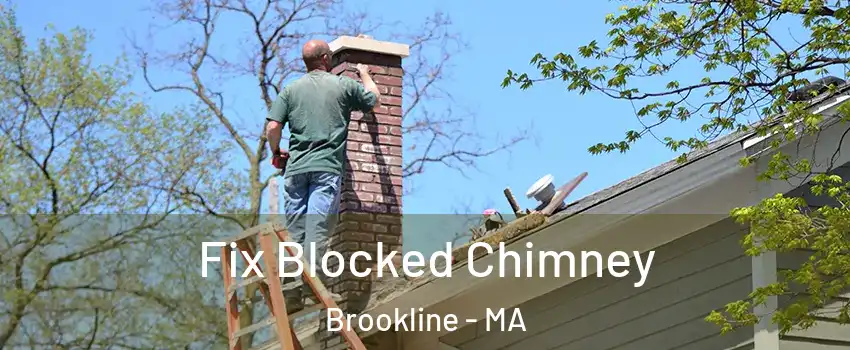 Fix Blocked Chimney Brookline - MA