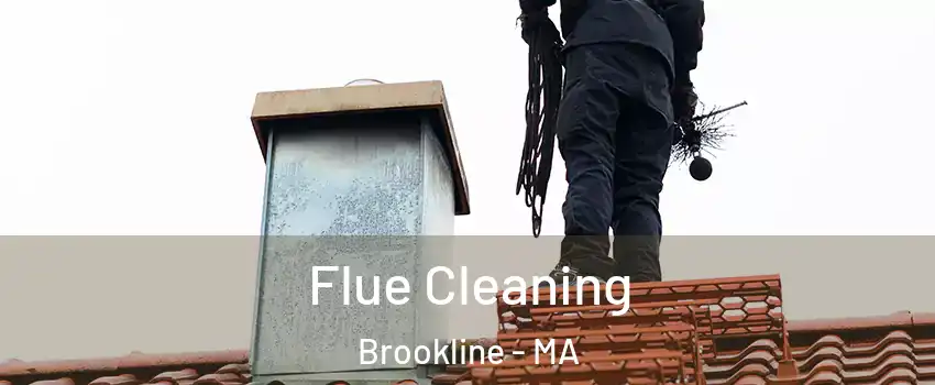  Flue Cleaning Brookline - MA