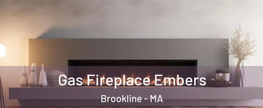  Gas Fireplace Embers Brookline - MA
