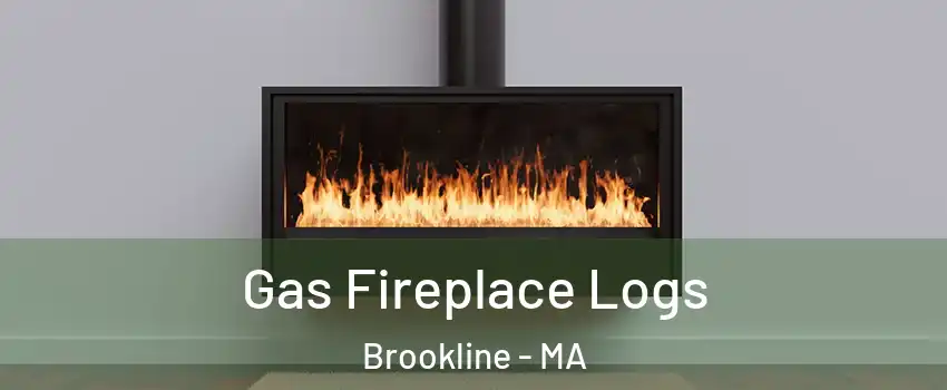  Gas Fireplace Logs Brookline - MA
