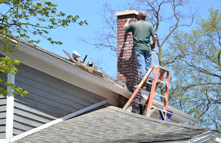 Chimney & Fireplace Inspections Services in Brookline, MA