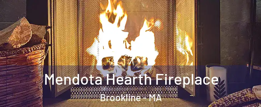  Mendota Hearth Fireplace Brookline - MA