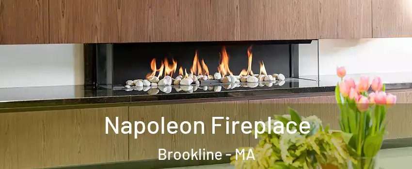  Napoleon Fireplace Brookline - MA