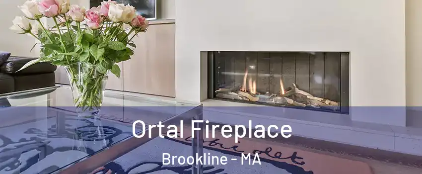 Ortal Fireplace Brookline - MA
