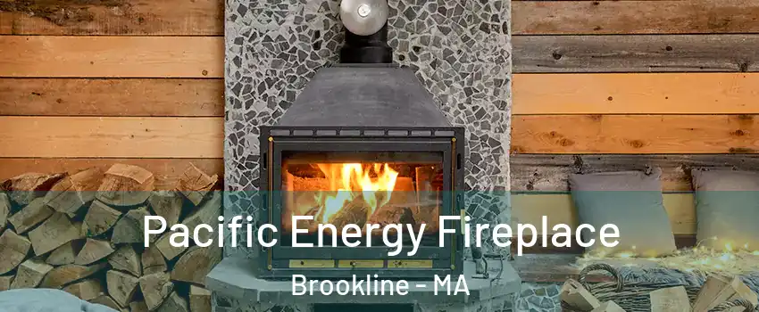  Pacific Energy Fireplace Brookline - MA