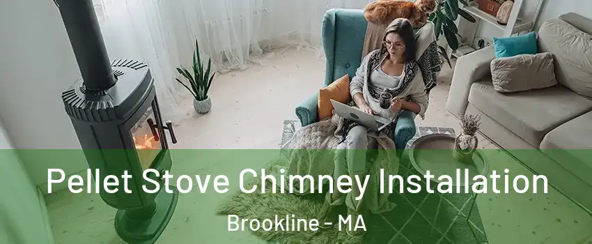  Pellet Stove Chimney Installation Brookline - MA